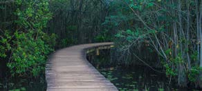 Nature trail in Sri Lanka